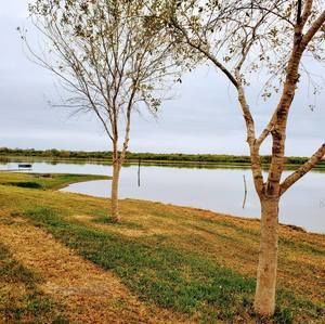 Meet your Posher, Liza